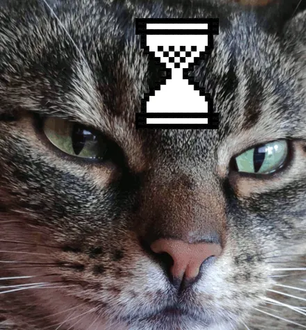 madzia the cat, with an hourglass cursor turning over on its forehead