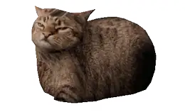madzia in 3D, a loaf of cat turning slowly