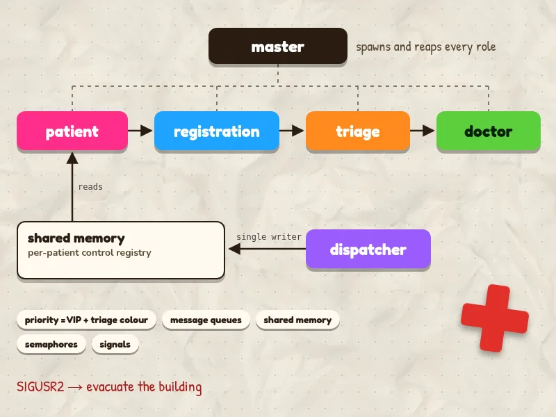 Process diagram: the master process and the patient, registration, triage, doctor and dispatcher roles around a shared-memory registry